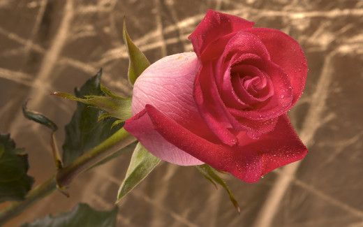 508648 (a): :2560x1600